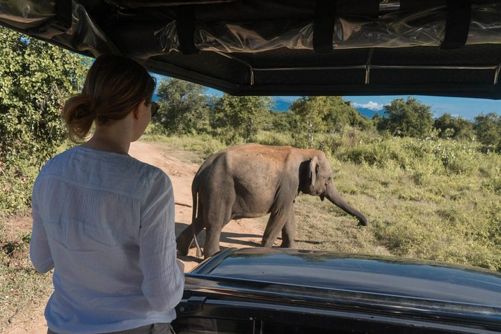 Udawalawe National Park